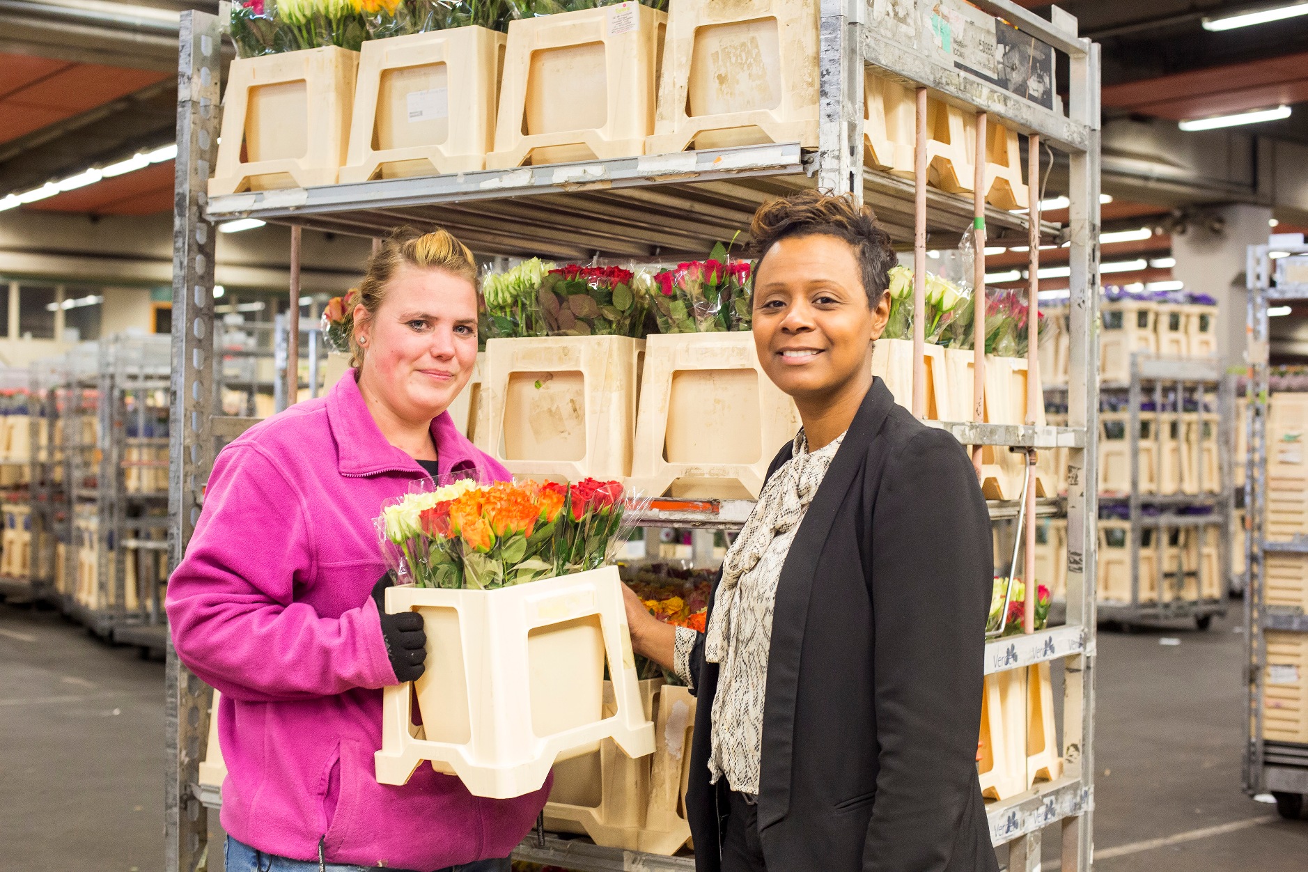 Nieuw logo brengt brede dienstverlening Patijnenburg in beeld