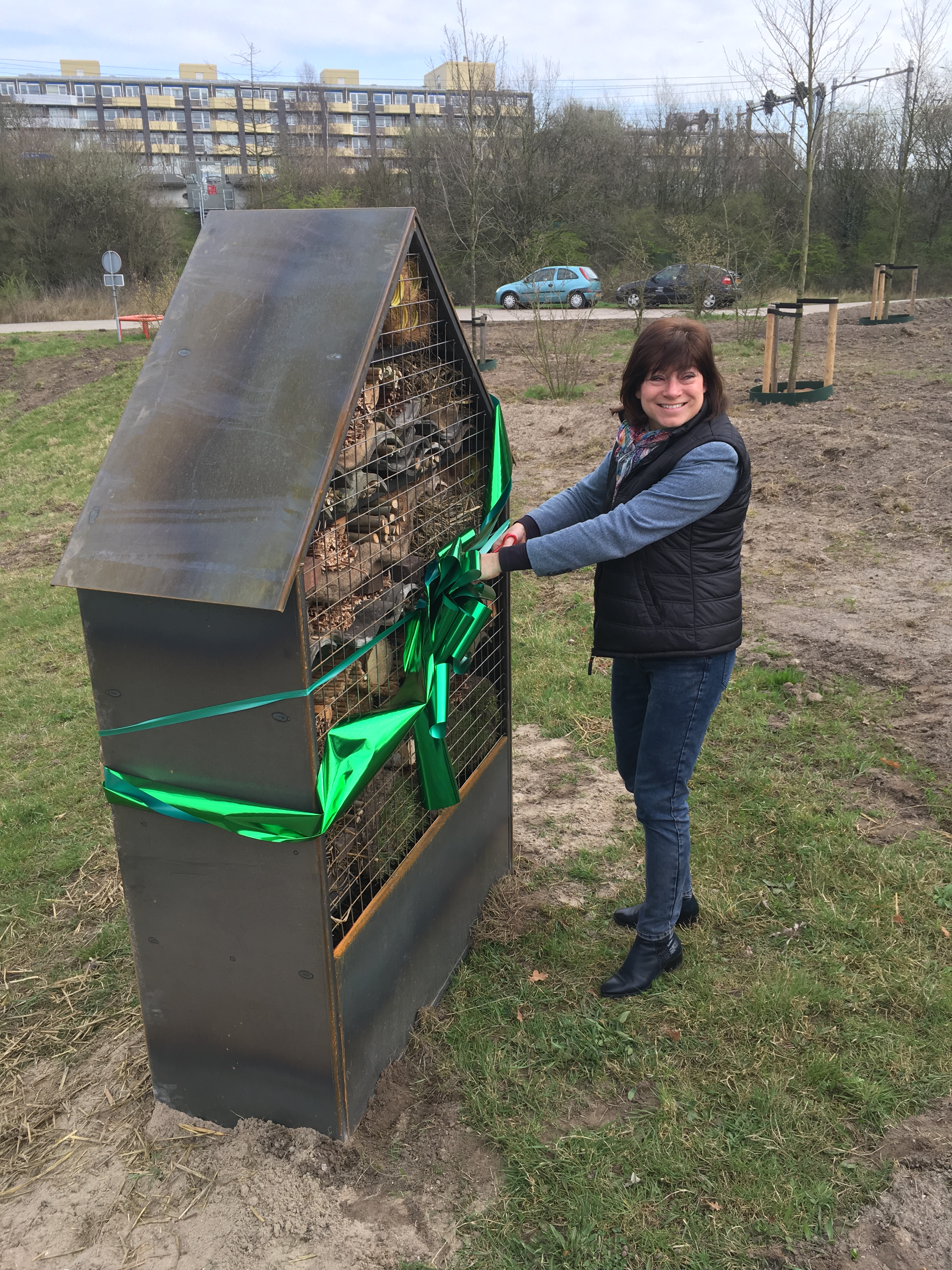 Plantsoen bij Brugweg krijgt insectenhotel