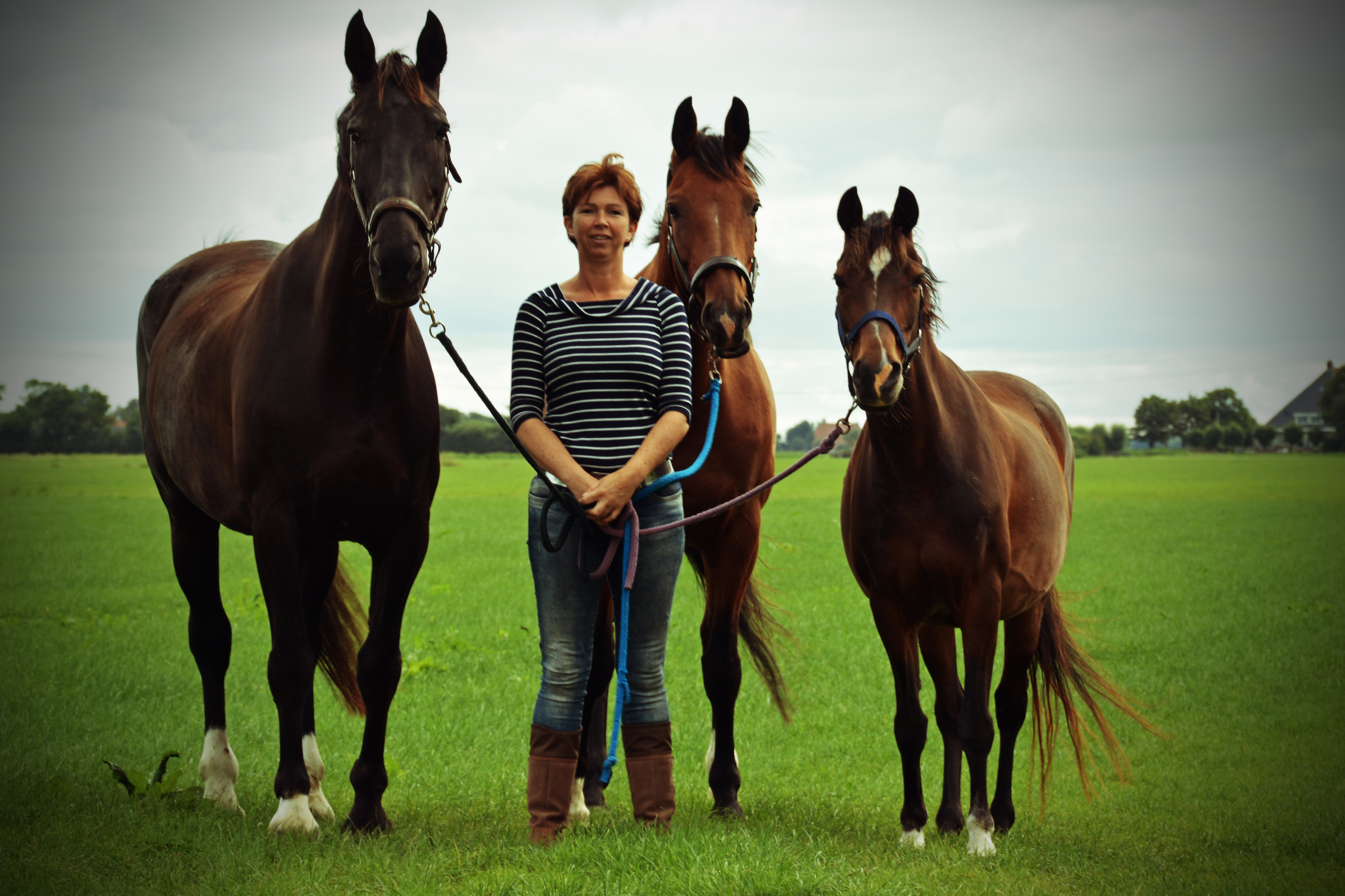 Het paard als spiegel voor je ontwikkeling