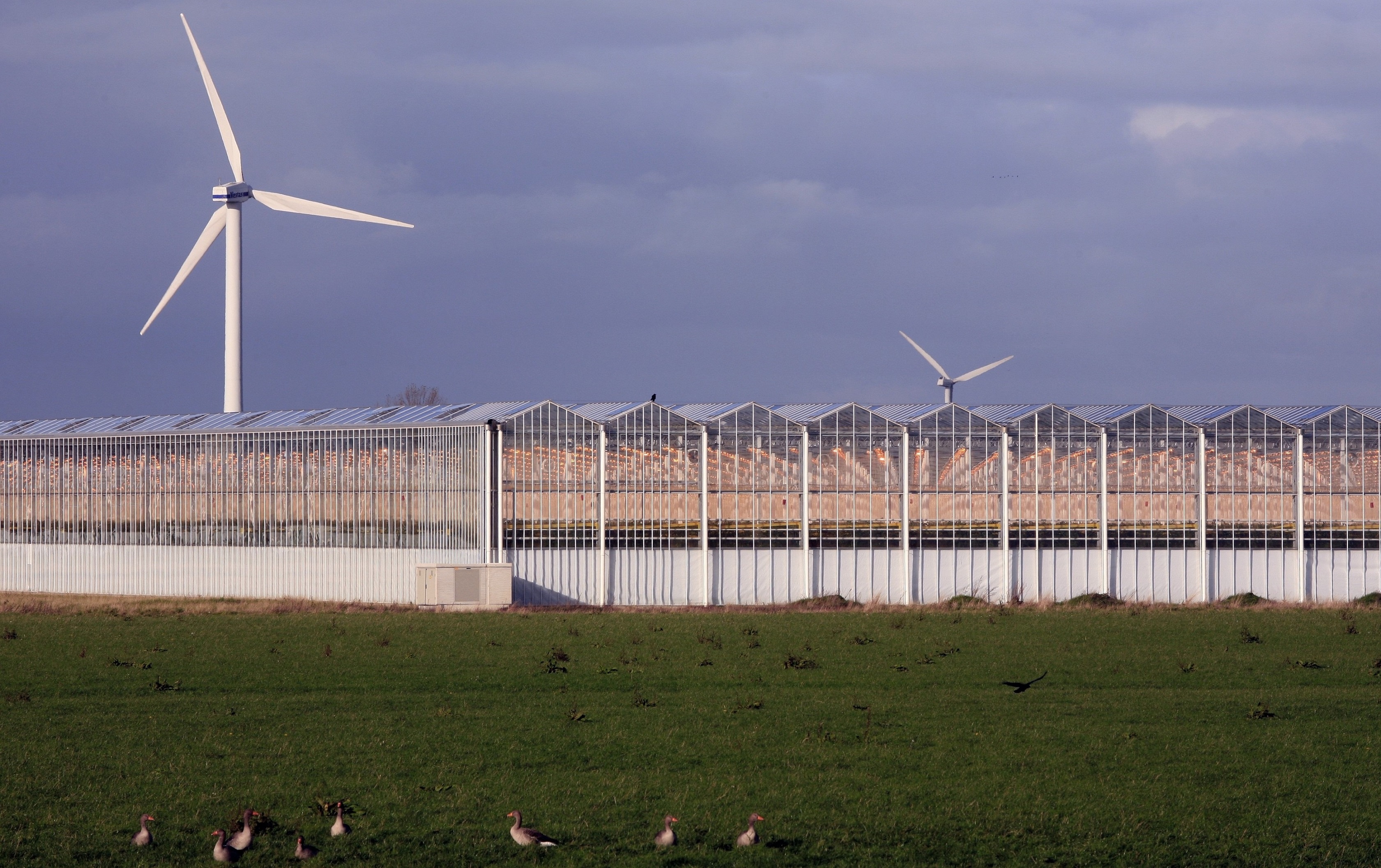 Naar emissieloze kassen voor de toekomst