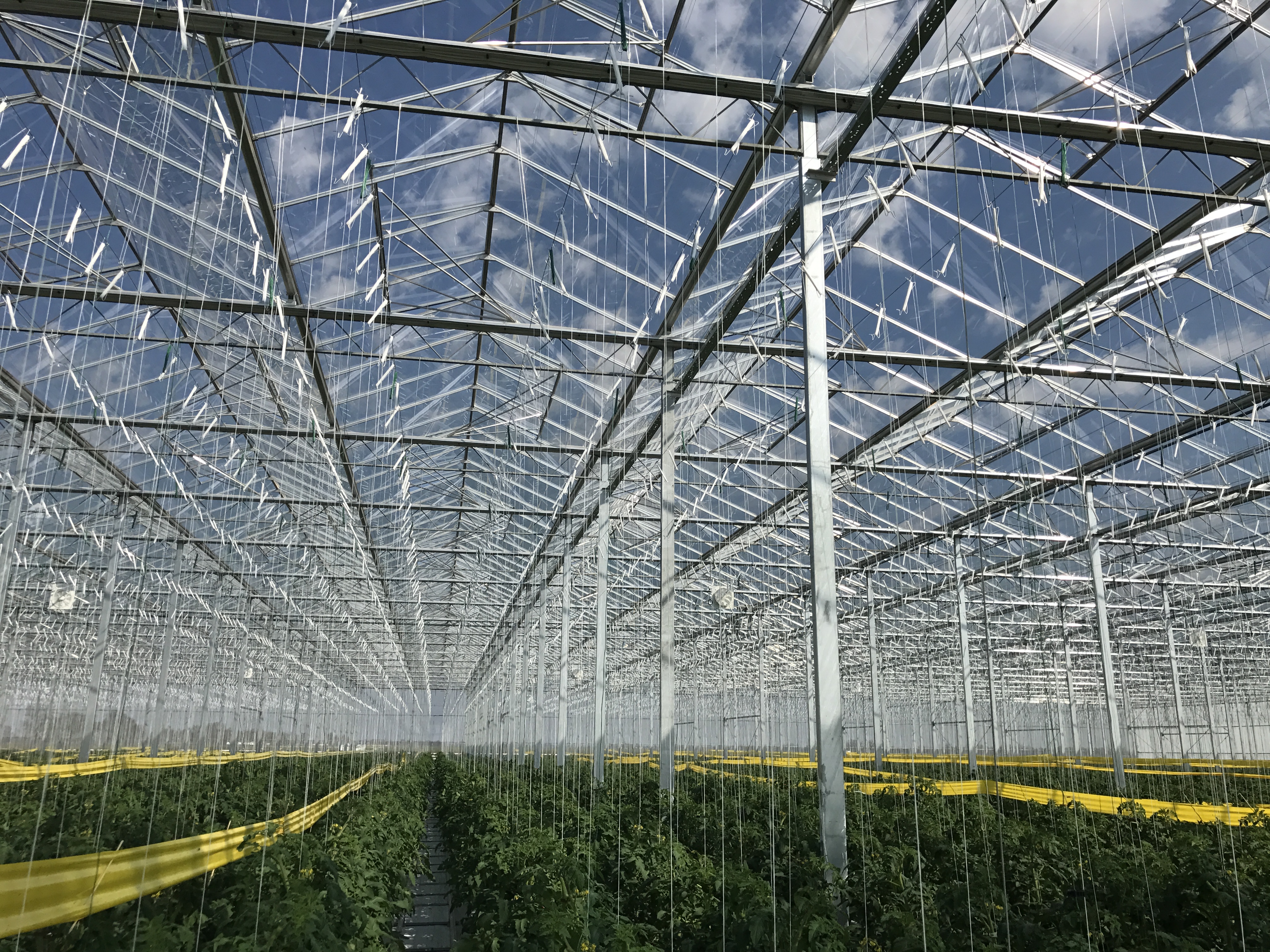 Geothermisch verwarmde kas in recordtempo in Hongarije opgeleverd