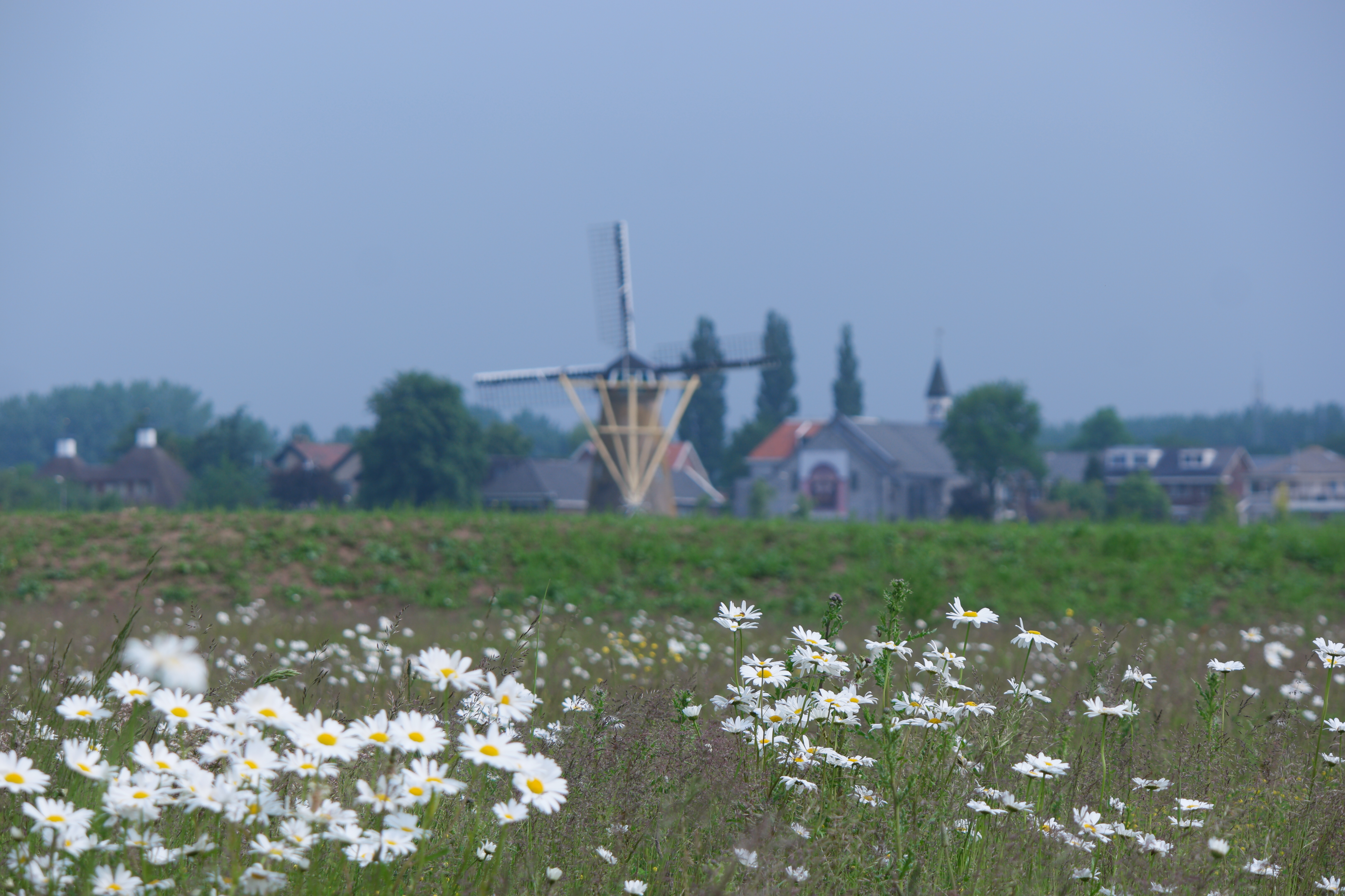 Gedeputeerde Weber opent Waalbos