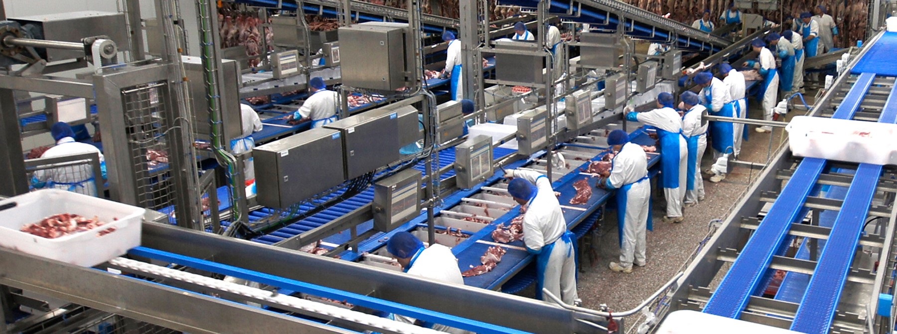 Vitelco neemt nieuwe uitbeenderij in productie