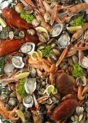 Proef de zomer tijdens Fruits de Mer week bij The Park