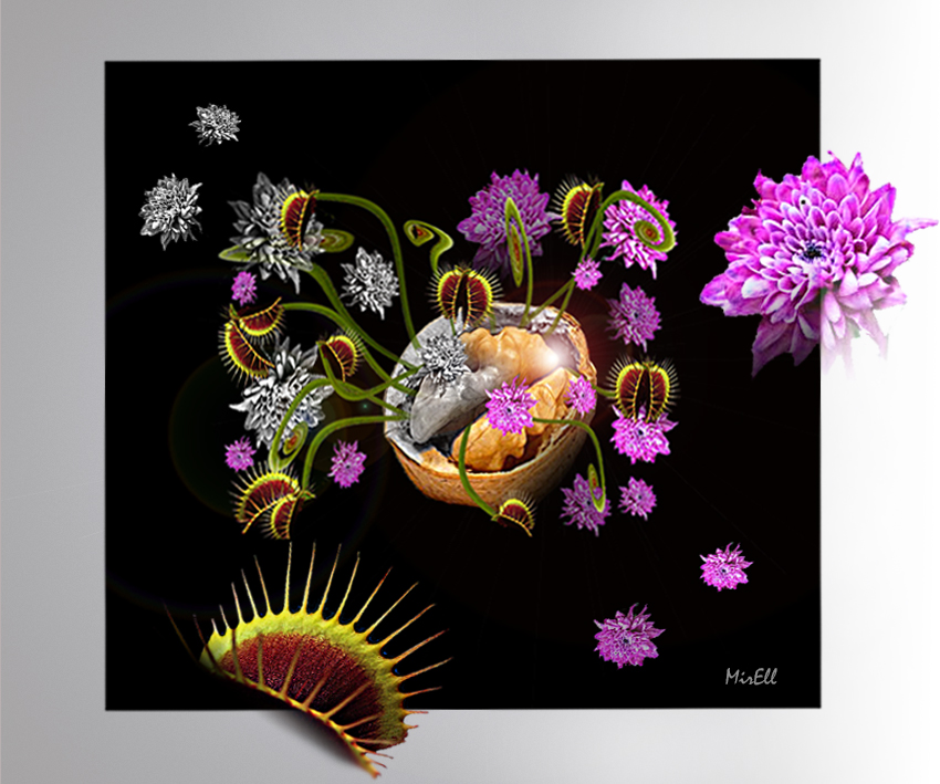 Nieuwe expositie in Magnushof