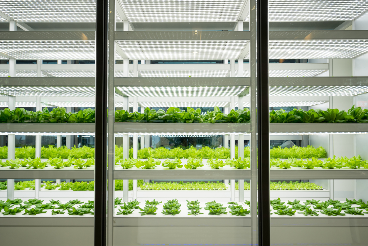 Rotterdam zoekt Food Startups