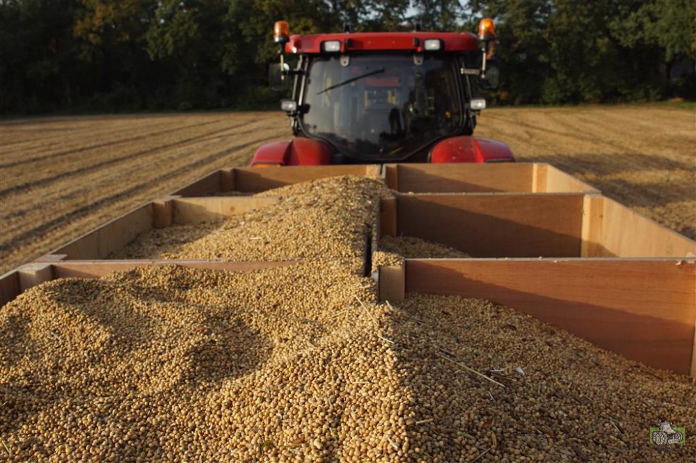 Forse toename sojateelt in Noord-Nederland