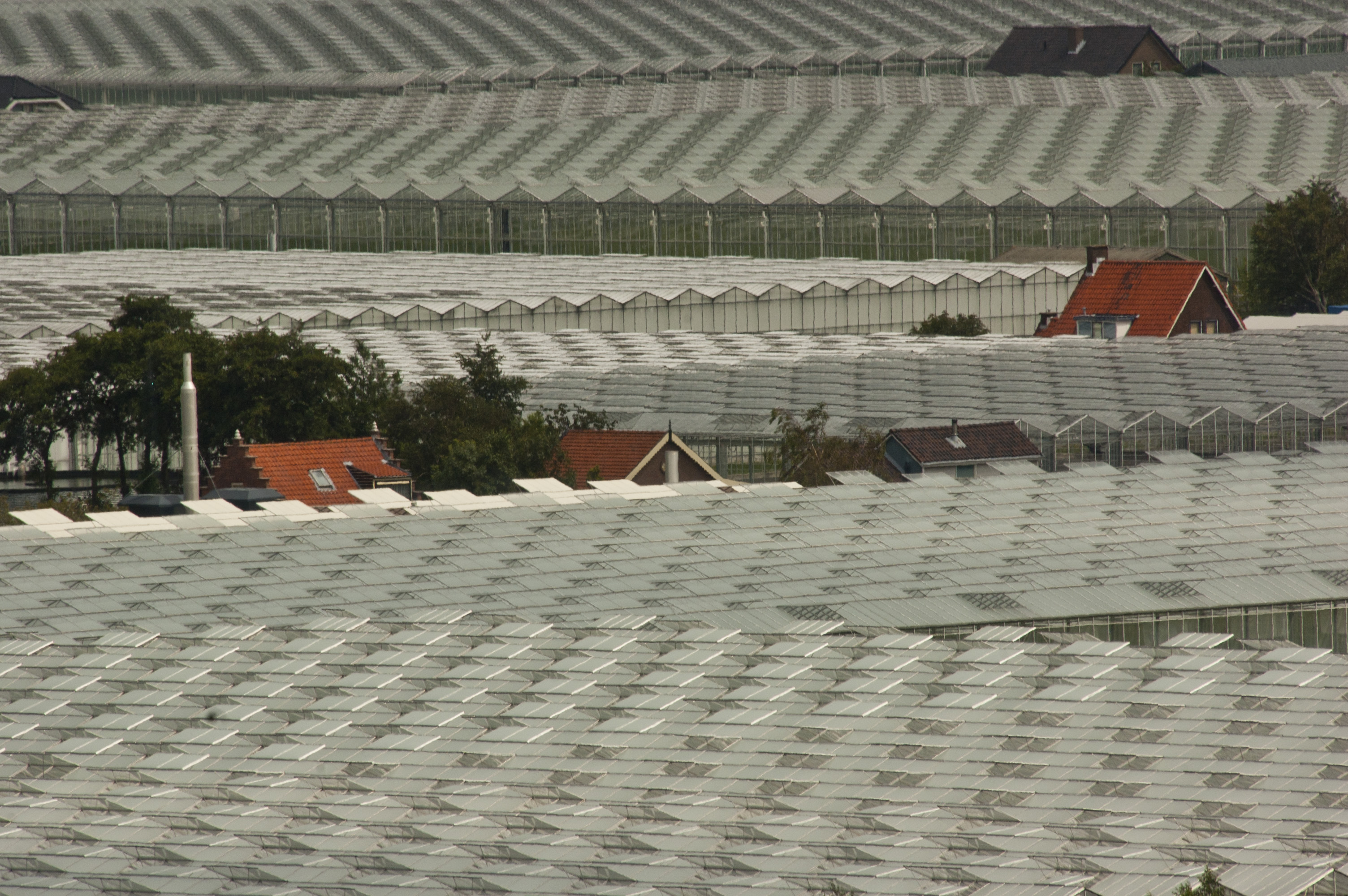 Extra geld voor modernisering en herstructurering glastuinbouw