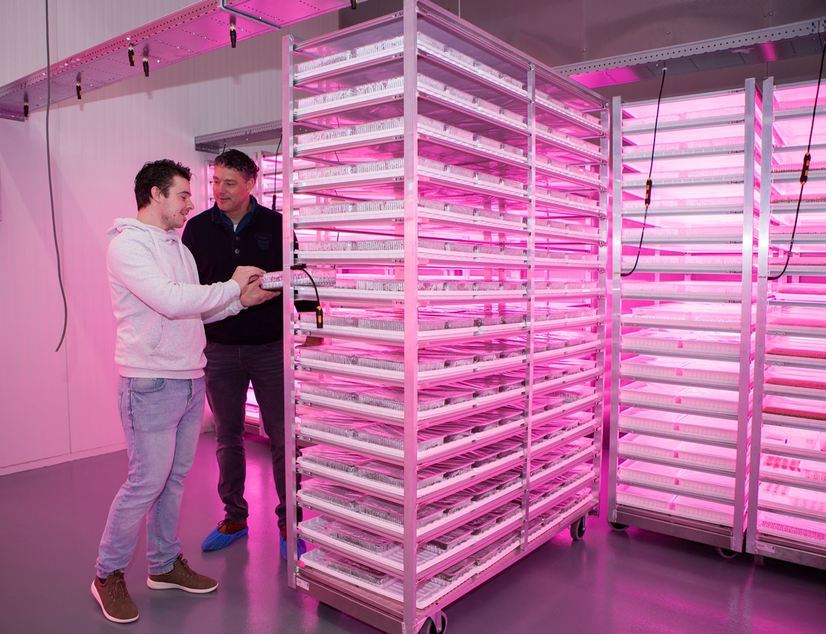 Vitro Plus ontwikkelt nieuw opkweeksysteem