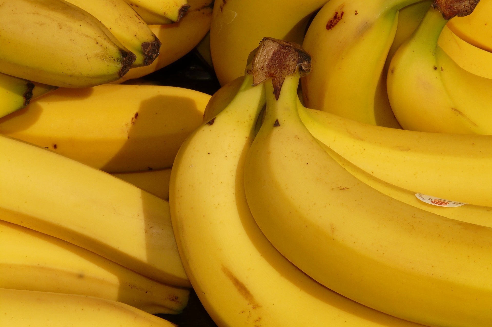 Fruit op het werk? Vraag een gratis proefpakket aan!