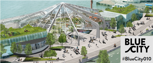 Rabobanken in Metropoolregio Rotterdam-Den Haag dagen bedrijven uit circulair te ondernemen