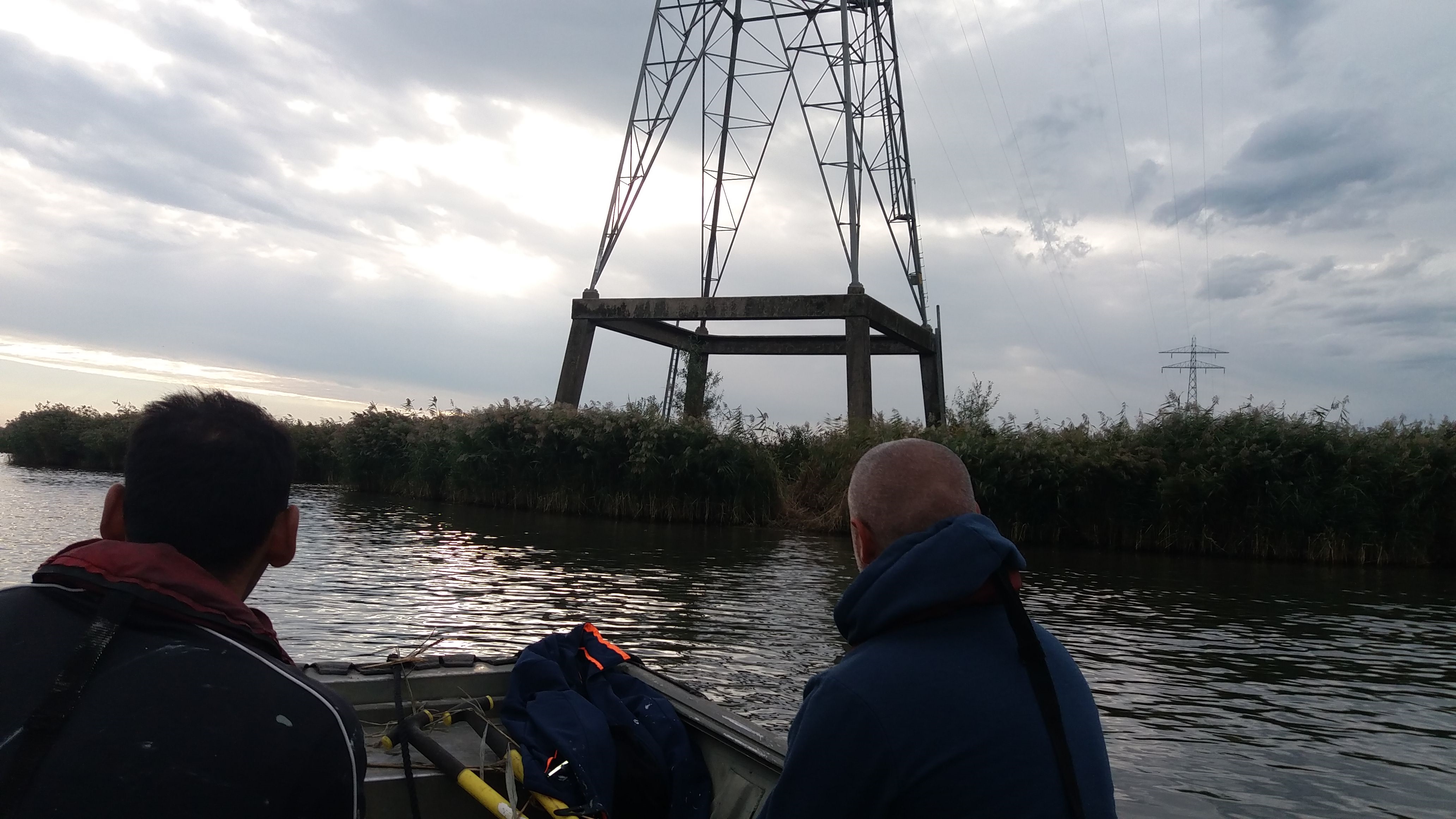 Kreeft op safari in de Biesbosch