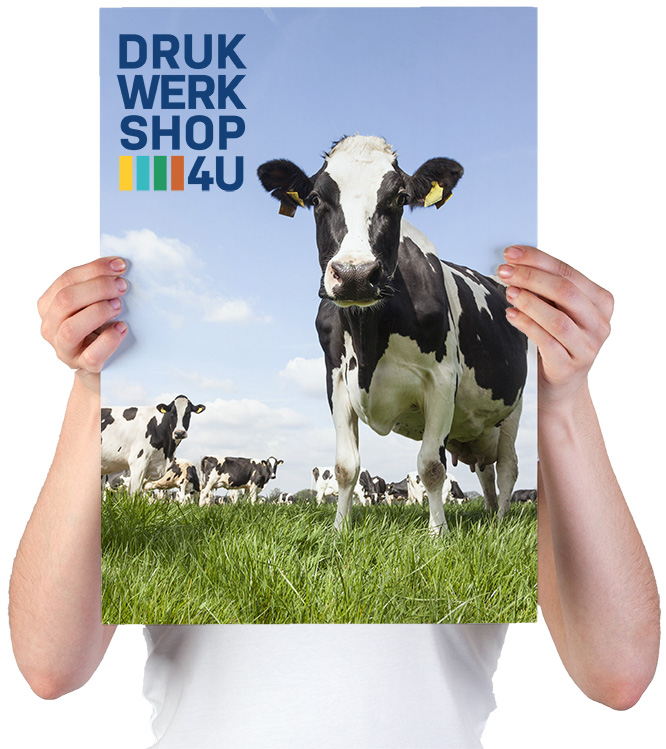 U wilt opvallen tussen de menigte?