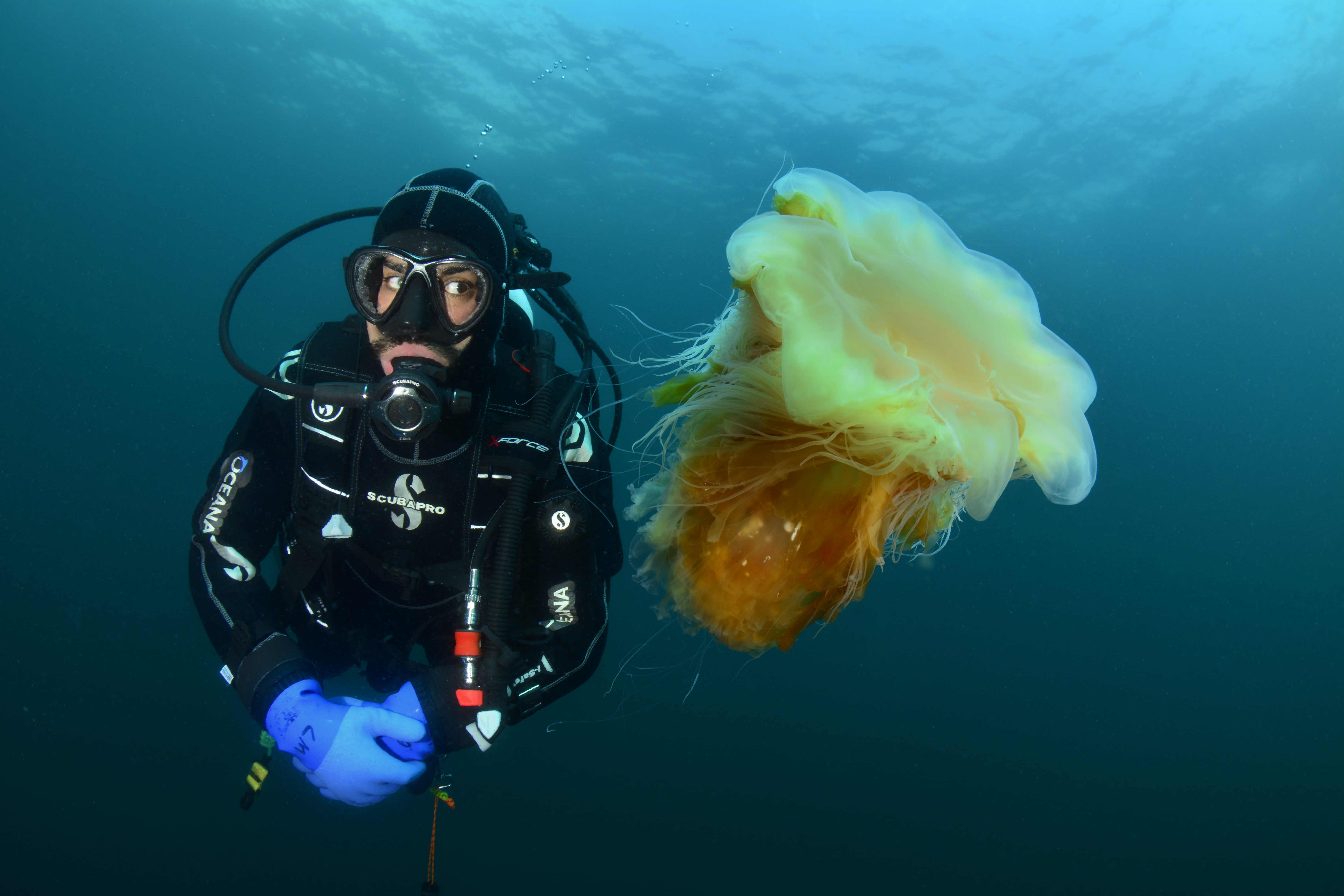 Oceana kiest voor branding a better world
