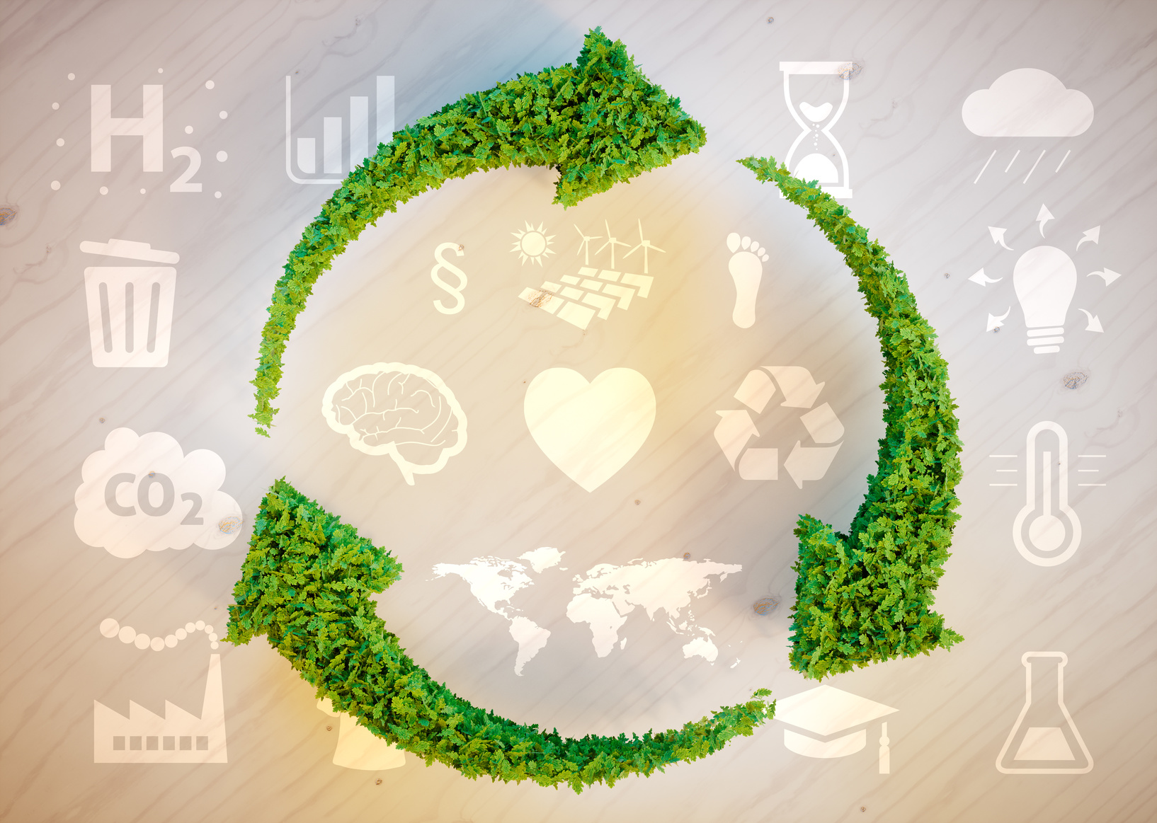 Transitie-management; bittere noodzaak en snel ook