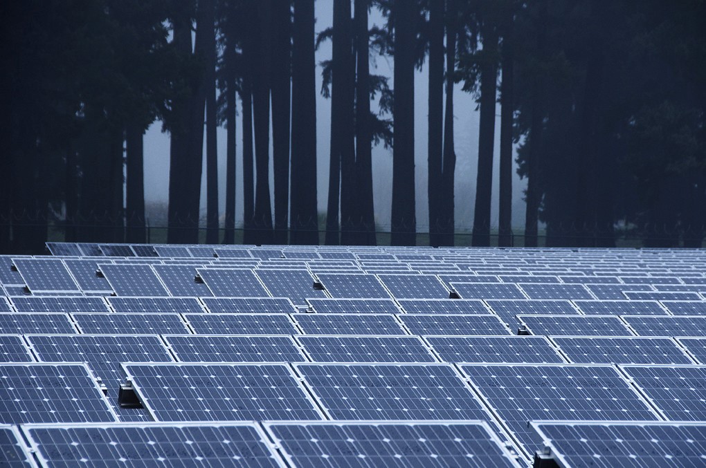 Saltrex start wereldwijde samenwerking met rePOWERPARTNER