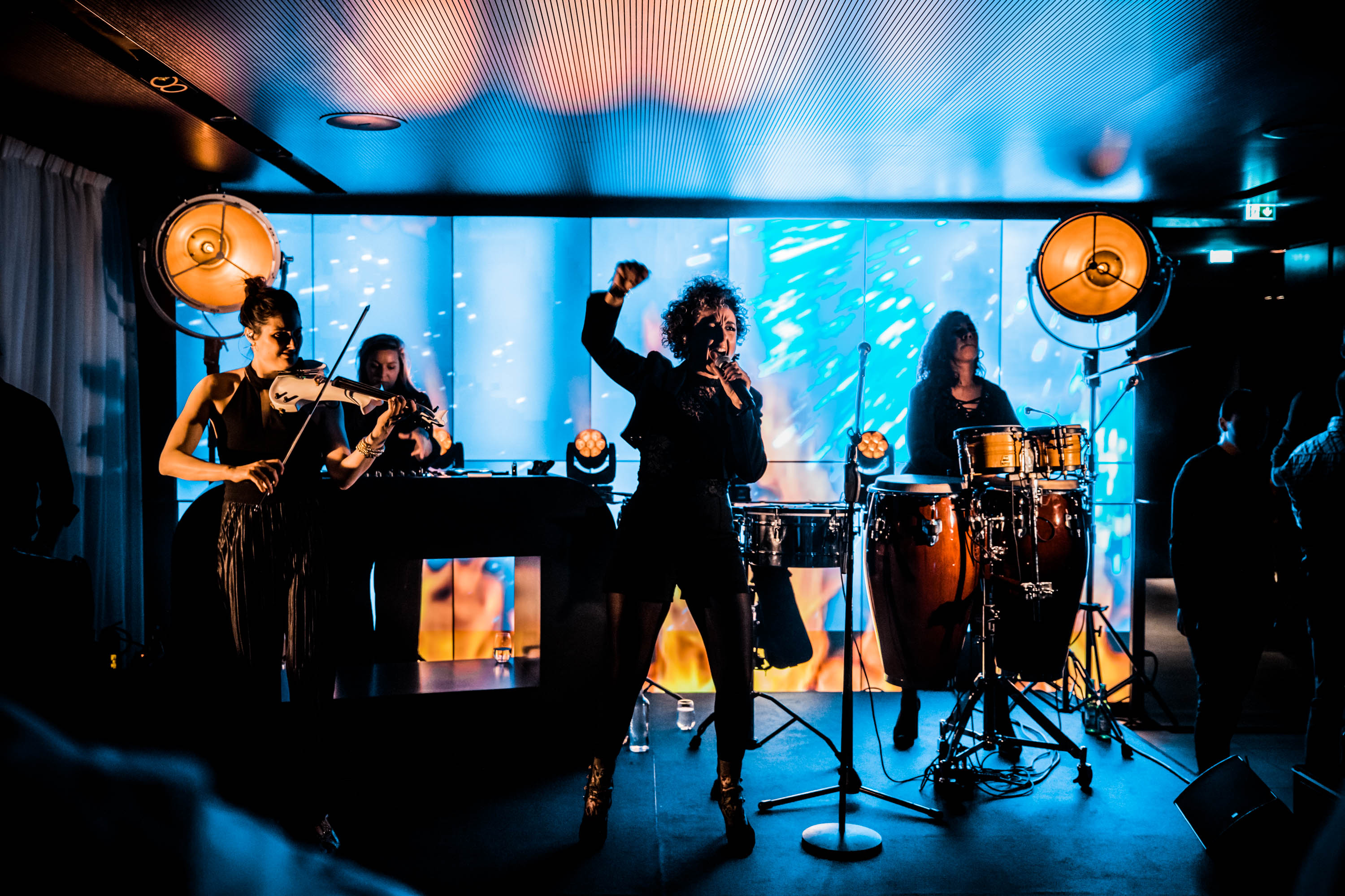 Artists/Acts for next level business events