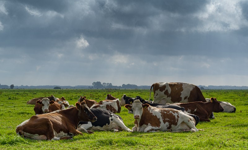 De meerwaarde in een onteigening
