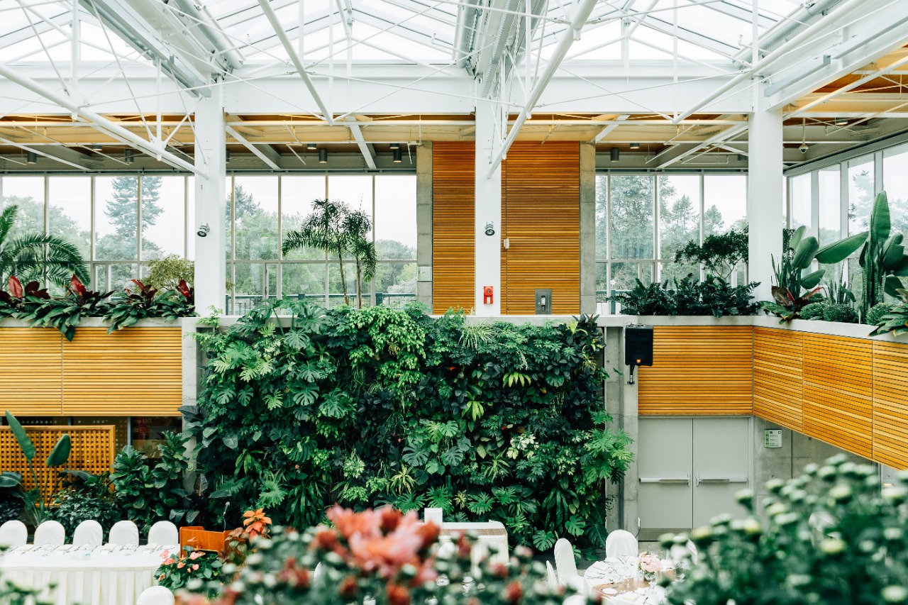 Planten als onderdeel van een duurzaam kantoor