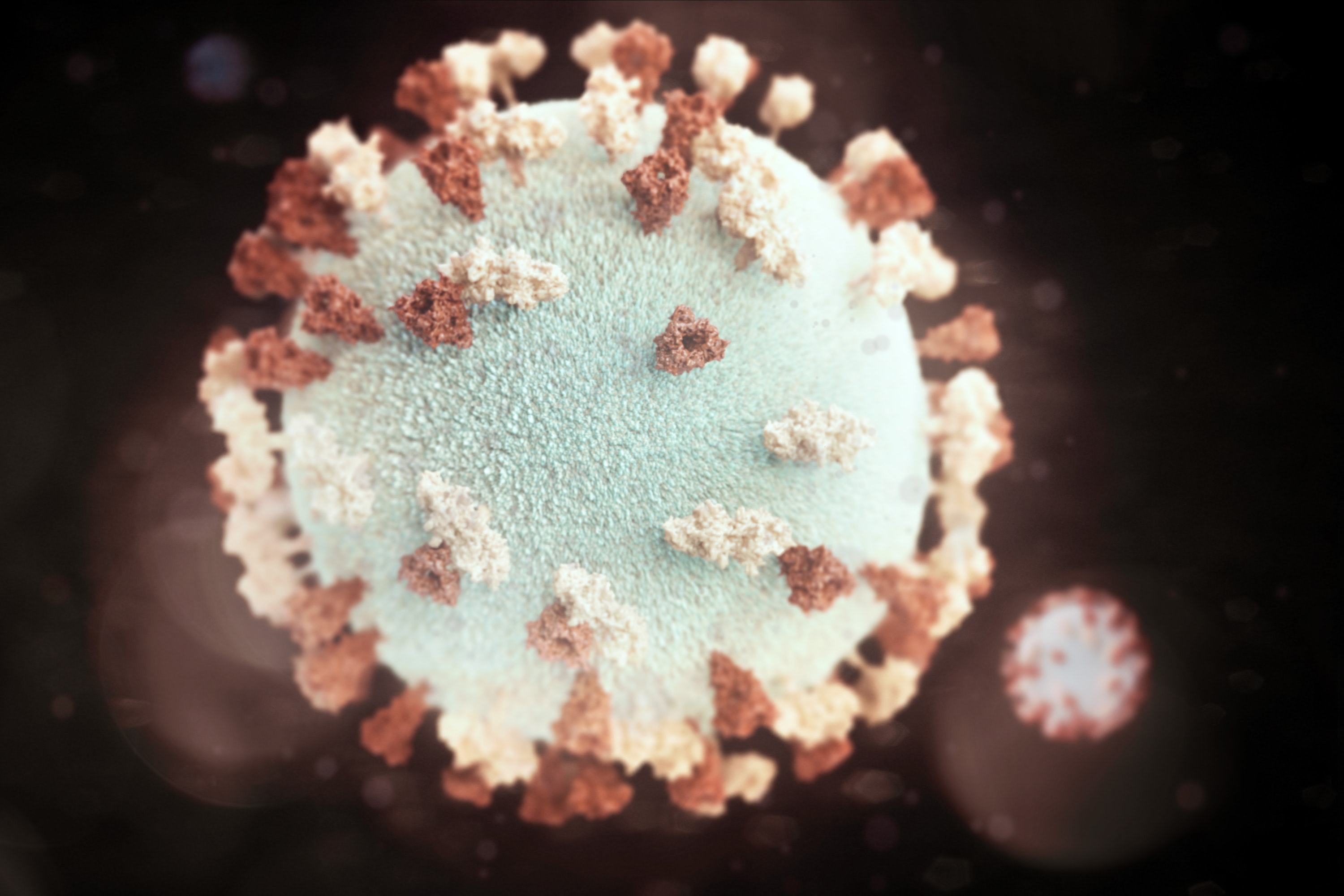 Qredits opent hulplijn voor financiële gevolgen coronavirus