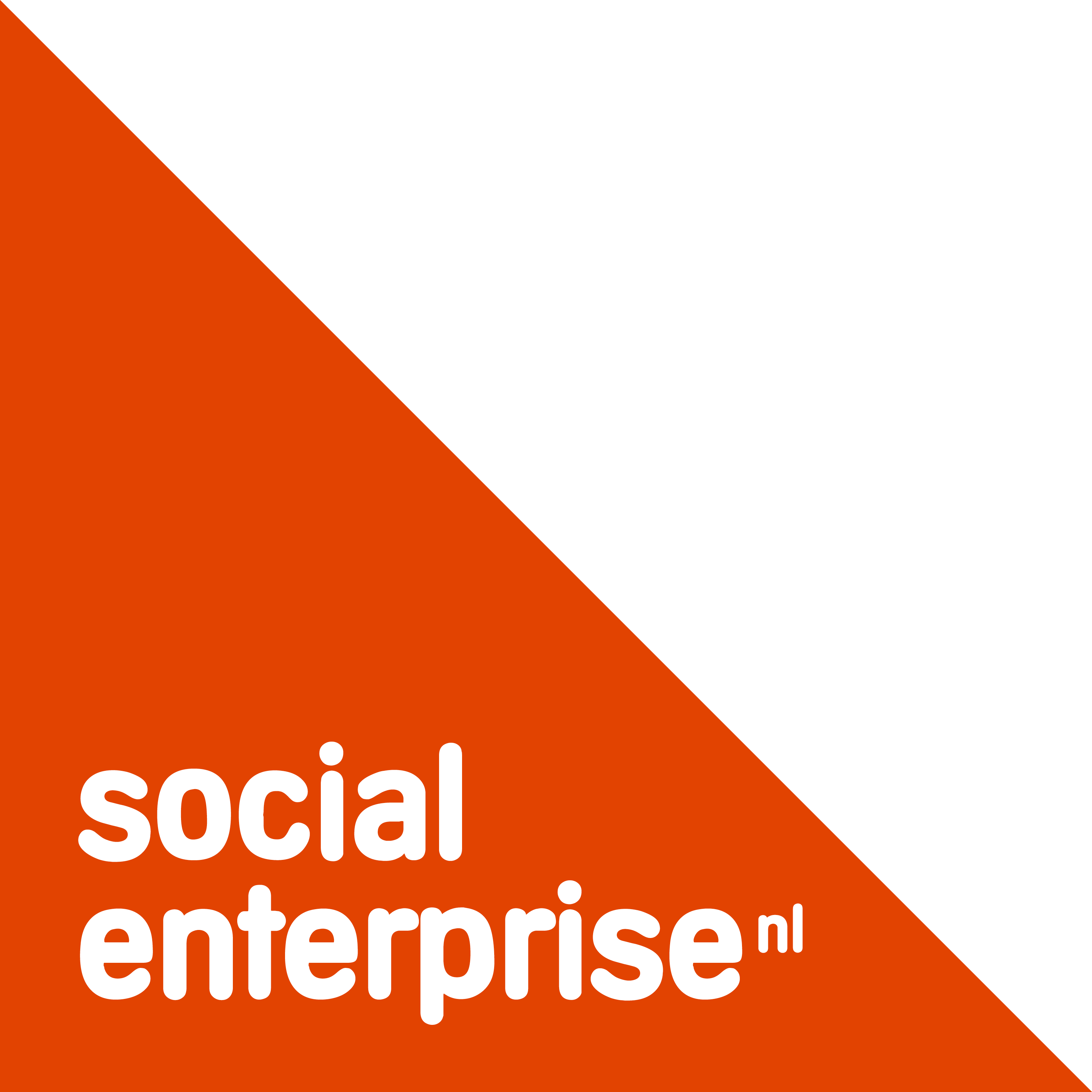 Sociaal en duurzaam ondernemen