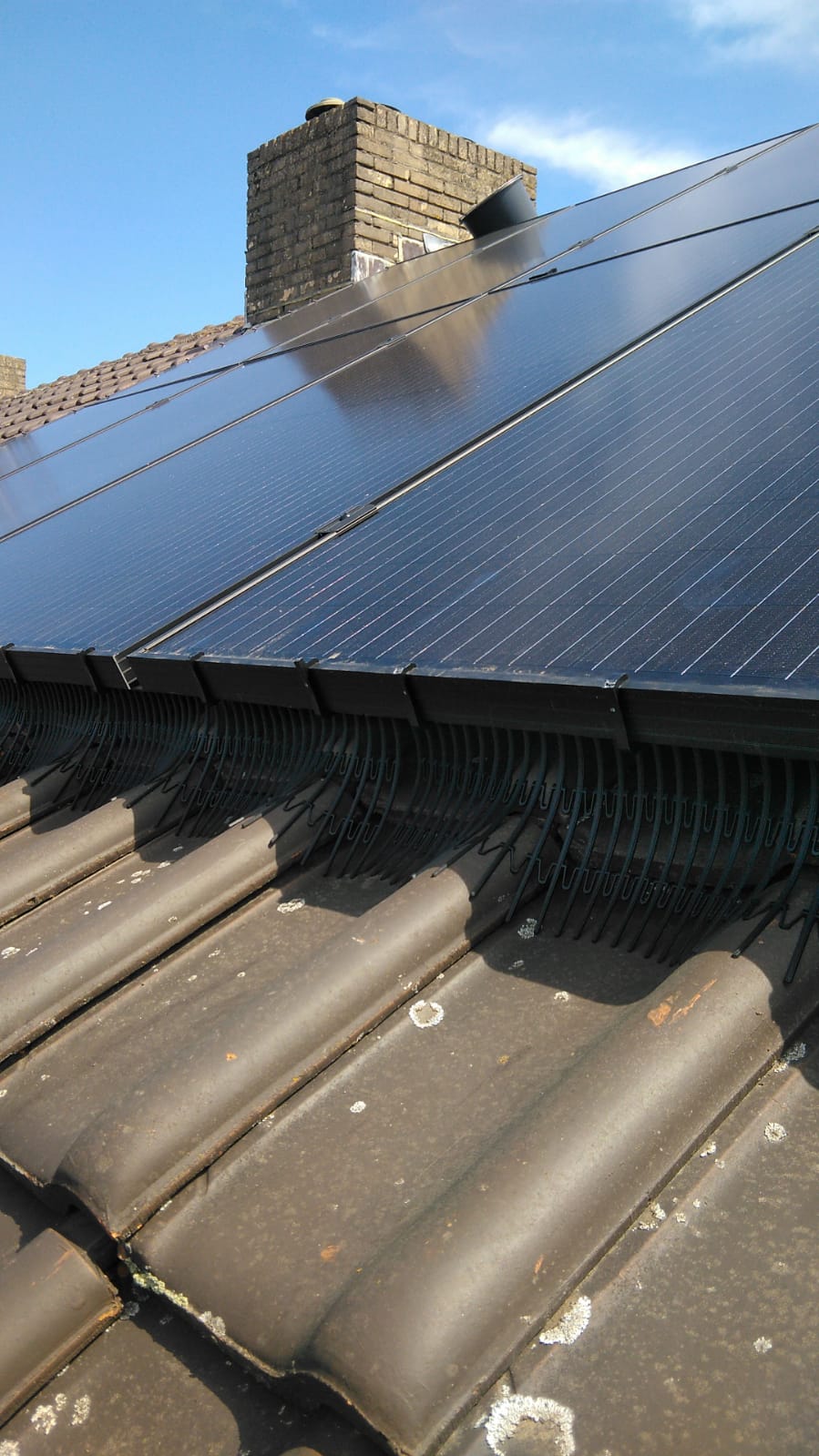 Voorkom schade aan zonnepanelen met goede vogelwering