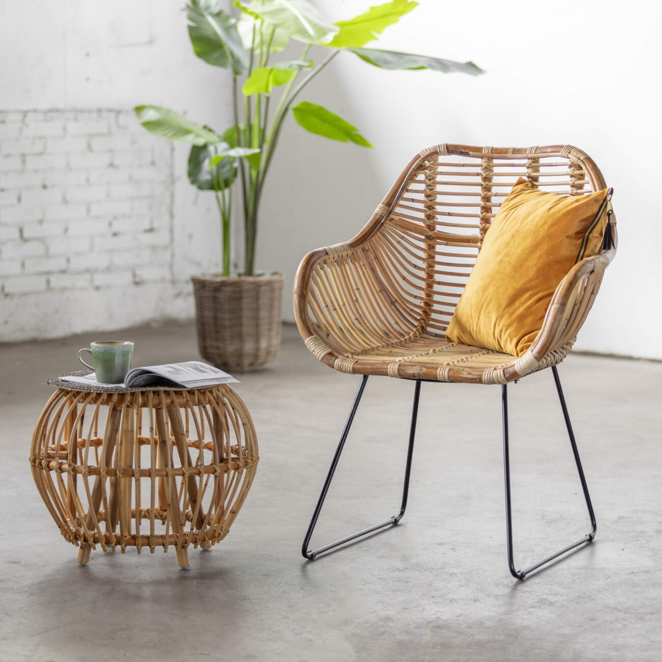 Rotan meubelen: de trend van nu