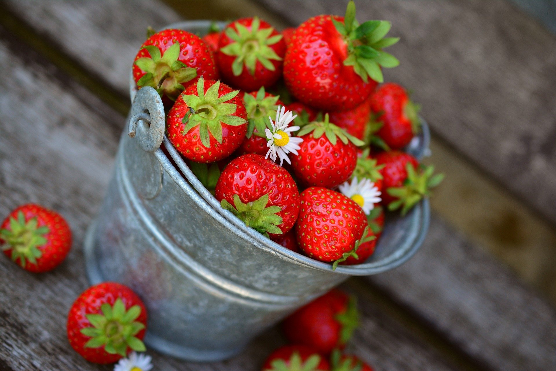Podcast - The Health Focused Superfood
