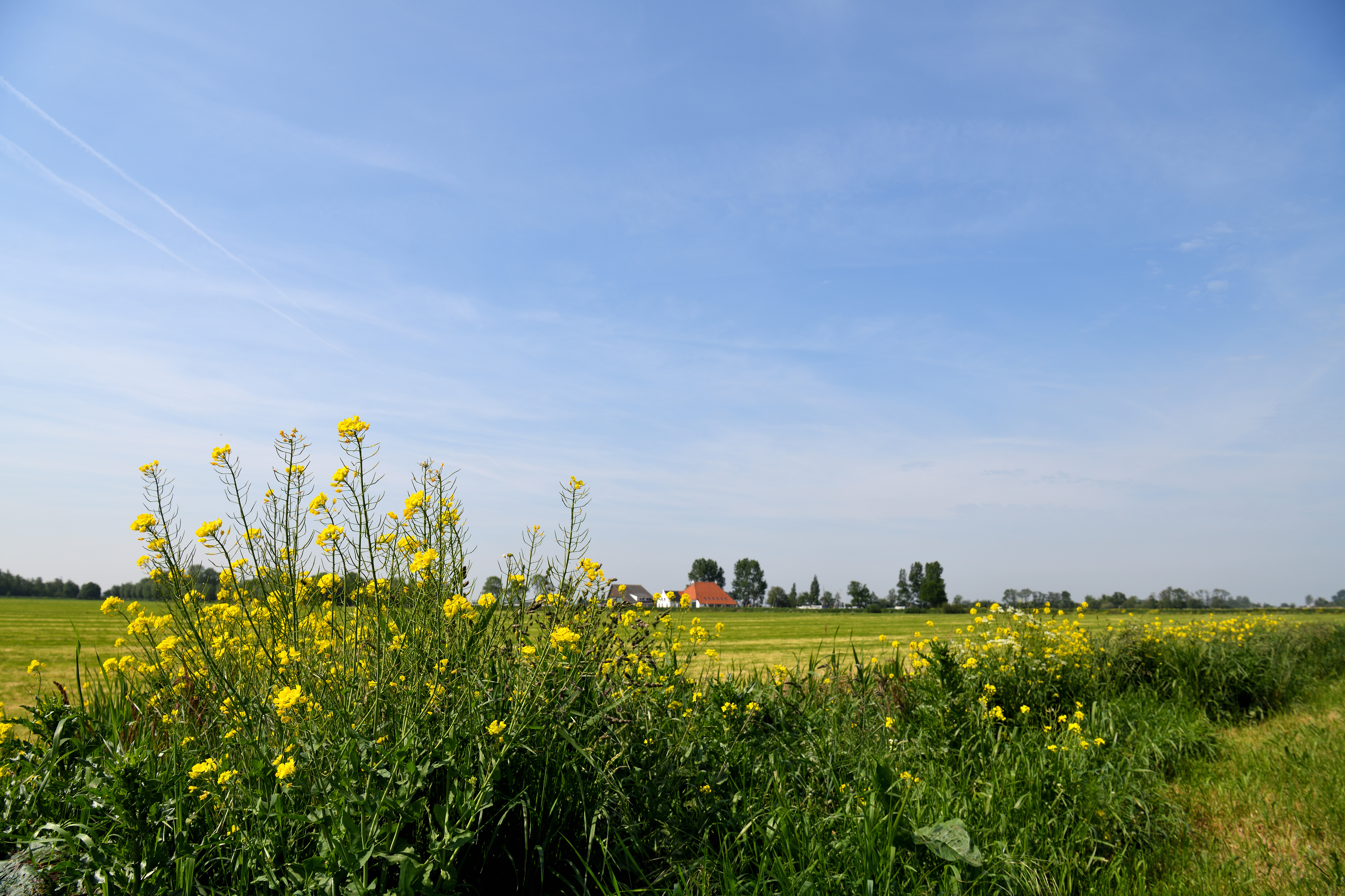 Friese boeren krijgen advies op eigen erf