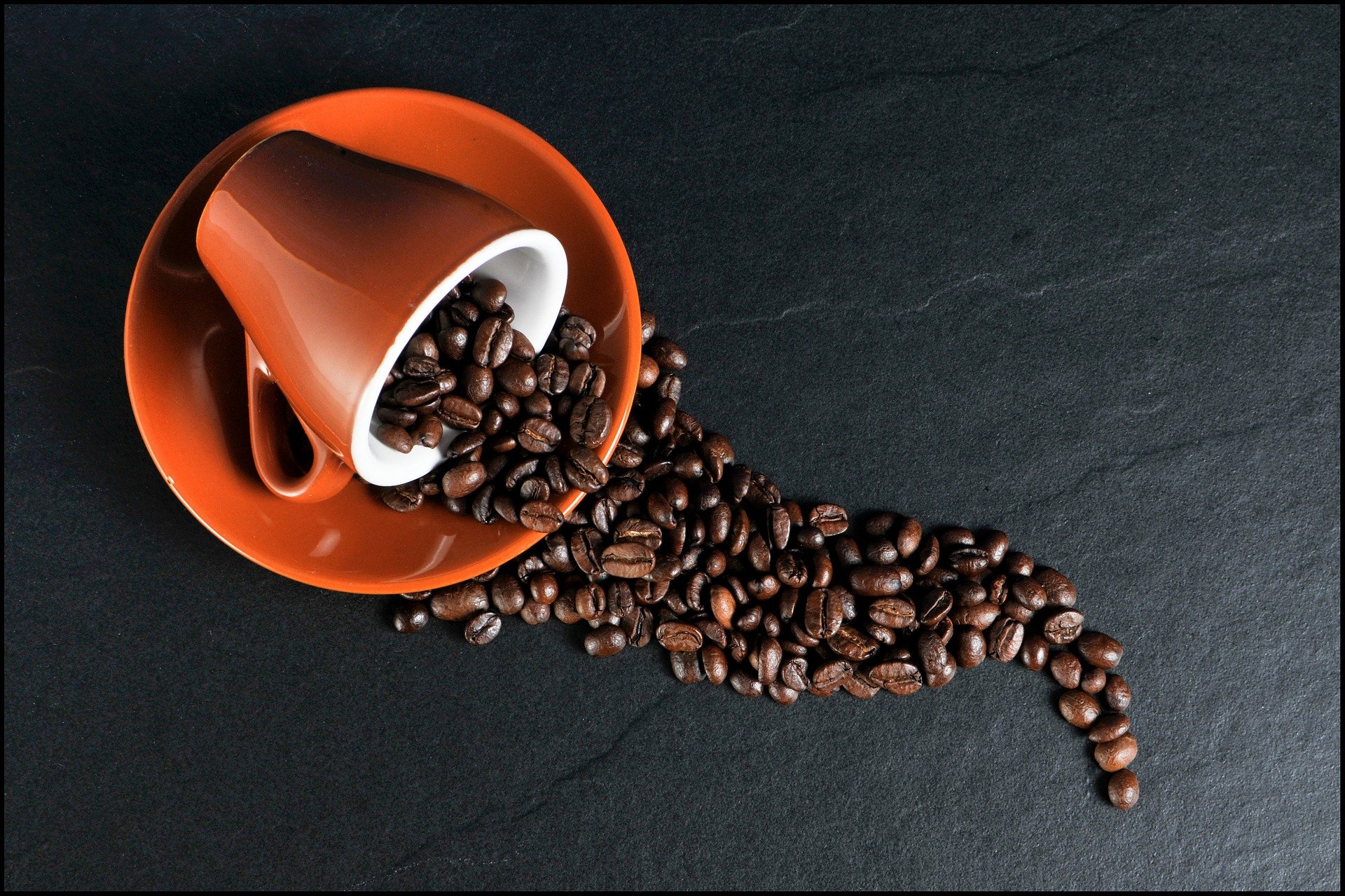 FRANK & FRESH COFFEE Versgebrand voor jou