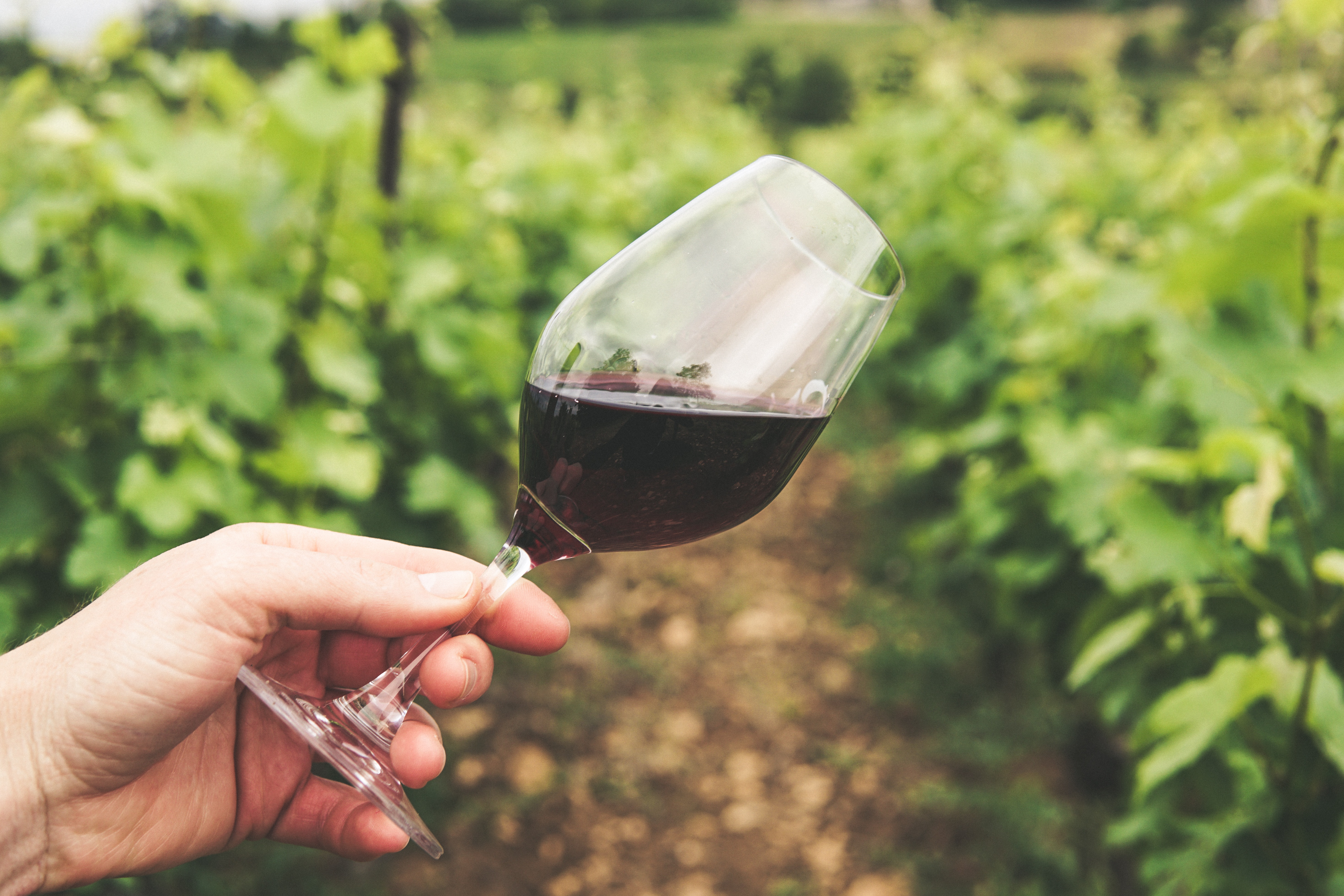 Nieuw: Vinobox lanceert ‘Kleinmaar-wijnbox’