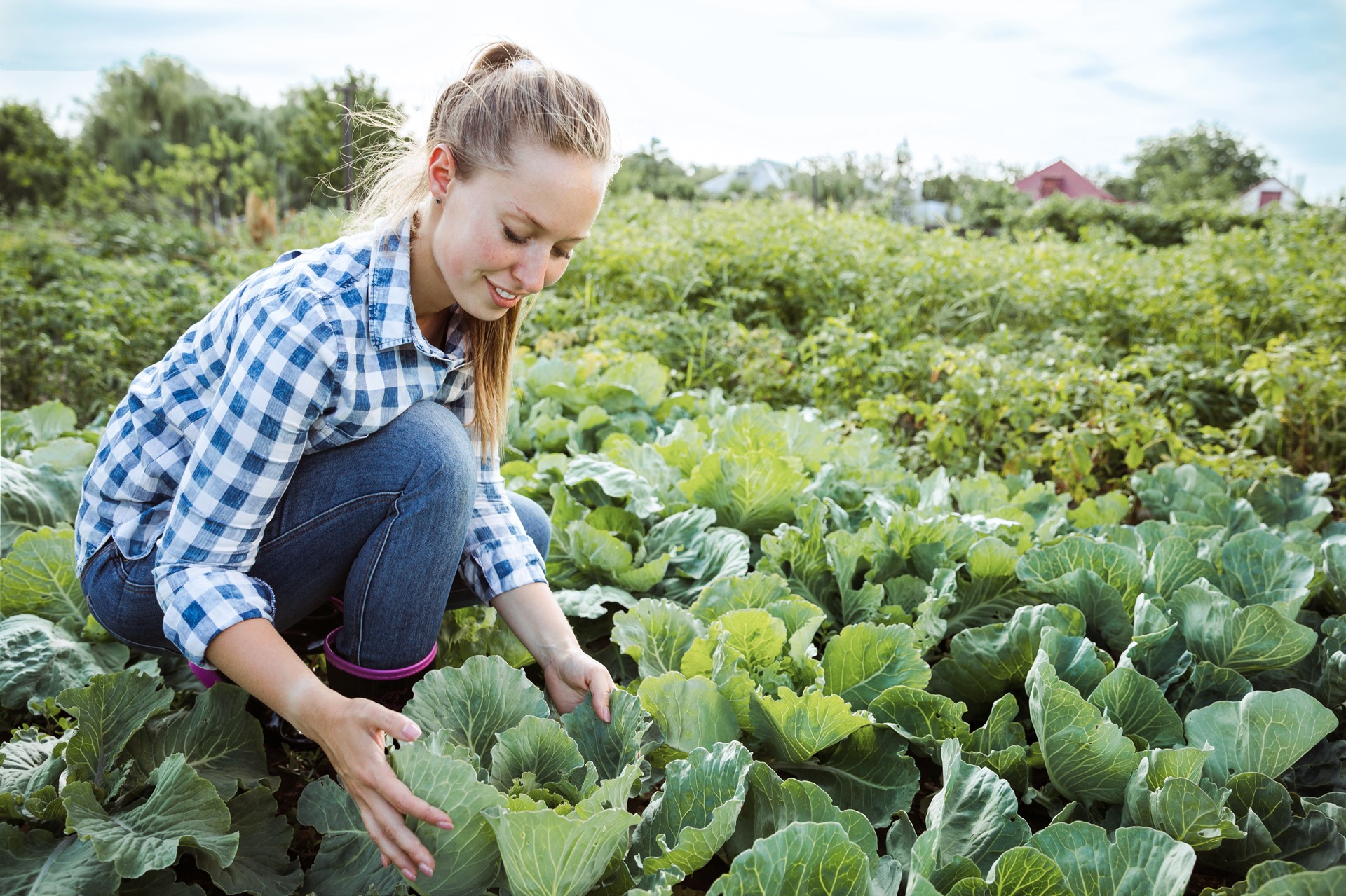 Pandemie inspireert tot duurzamer leven