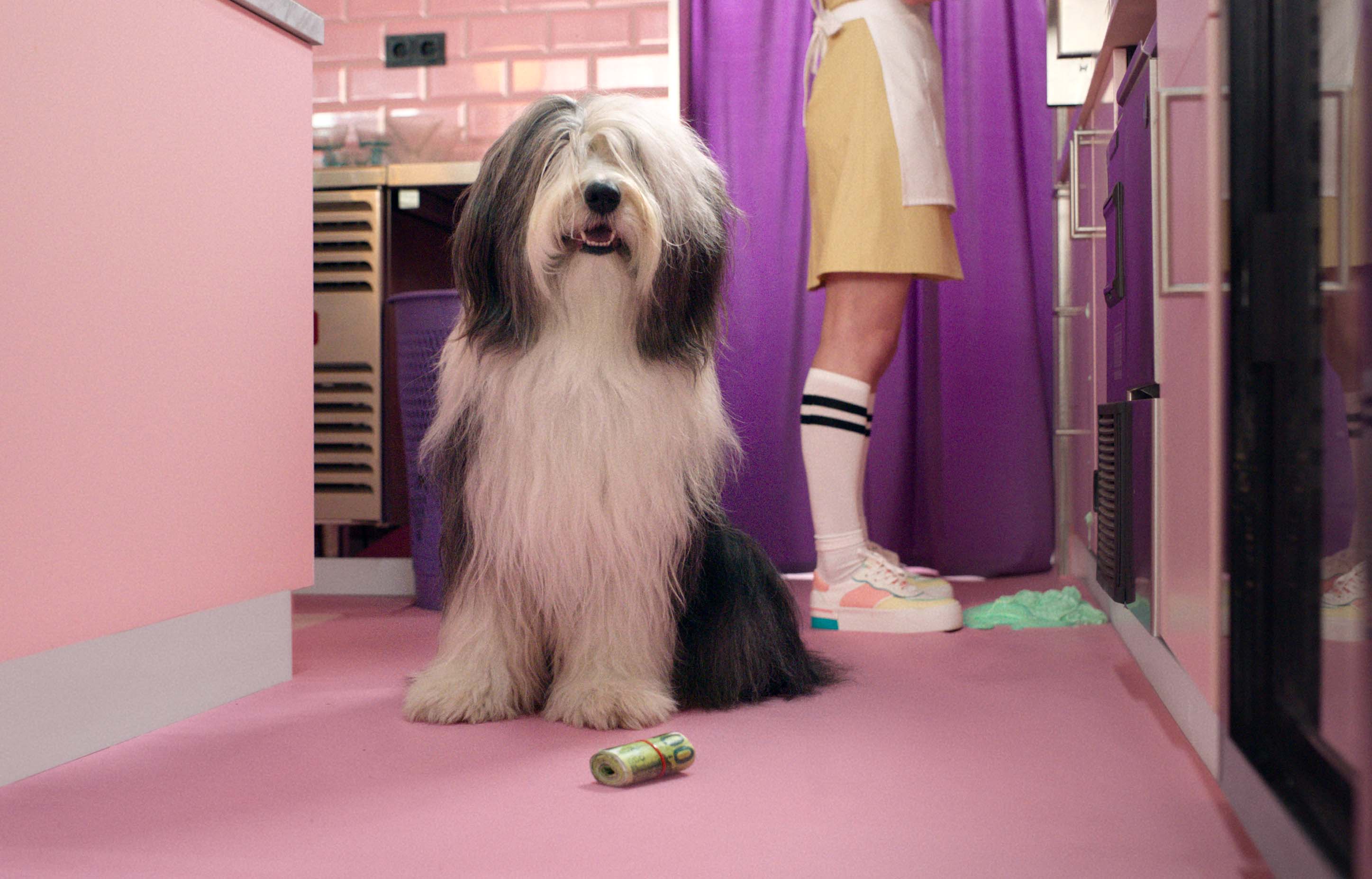 BridgeFund lanceert ‘Make Money Smile’-campagne