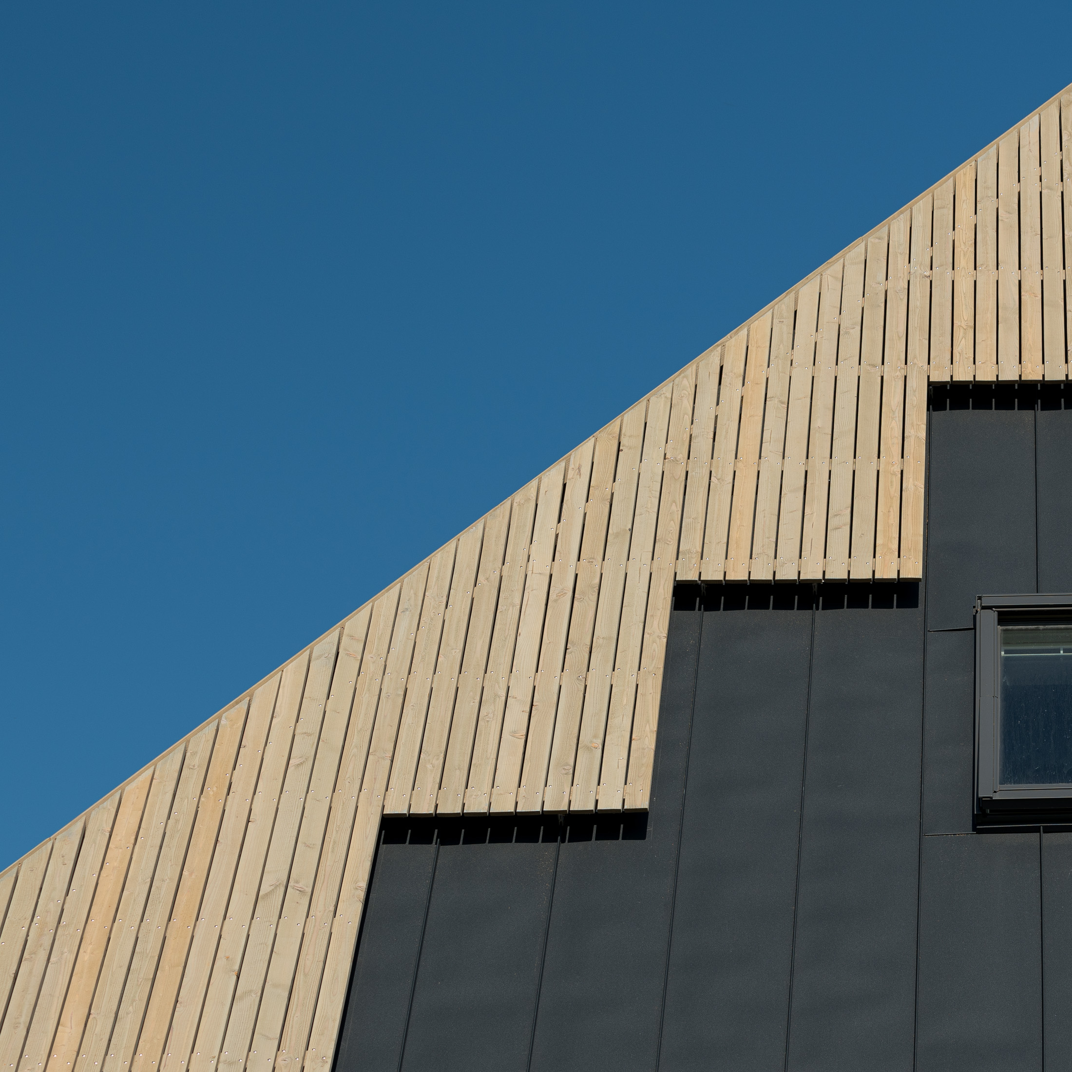 Houtbouw in volle glorie terug in Zaanstreek