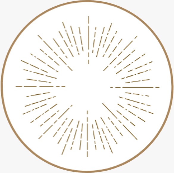 Logo Psychologie Praktijk NOOR