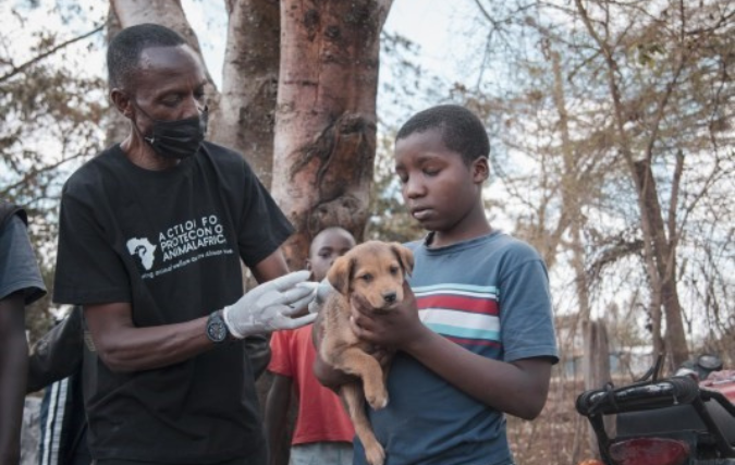AFAS Foundation en World Animal Protection bundelen krachten om hondsdolheid tegen te gaan