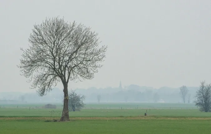 Arbeidsmarkttendens in Gelderland en Overijssel