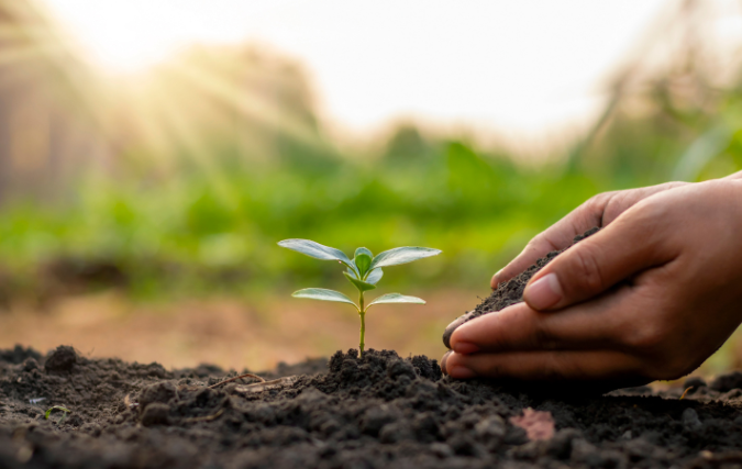 MVO Nederland lanceert collectief natuurlijk eten & drinken