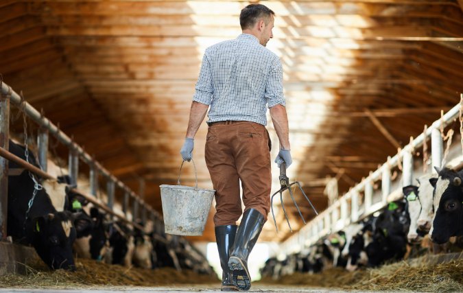 Hoe ziet de toekomstige stal van de Nederlandse rundveehouderij eruit?