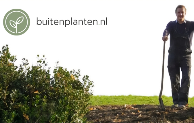 Tuinplantenwebshop Yarinde heeft de webwinkel Buitenplanten.nl per direct overgenomen
