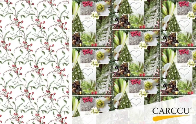 Carccu® kondigt collectie voor 2025 aan