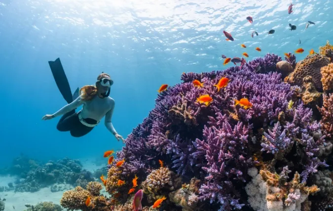 7 essentiële tips voor succesvol ondernemen op Bonaire