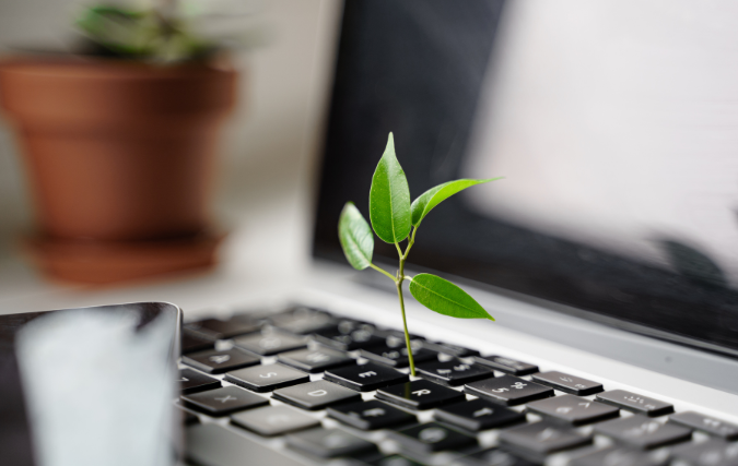 Onderzoek toont aan dat 76% van de Nederlandse online shoppers weinig oog heeft voor duurzaamheid, maar wel voor koopjes