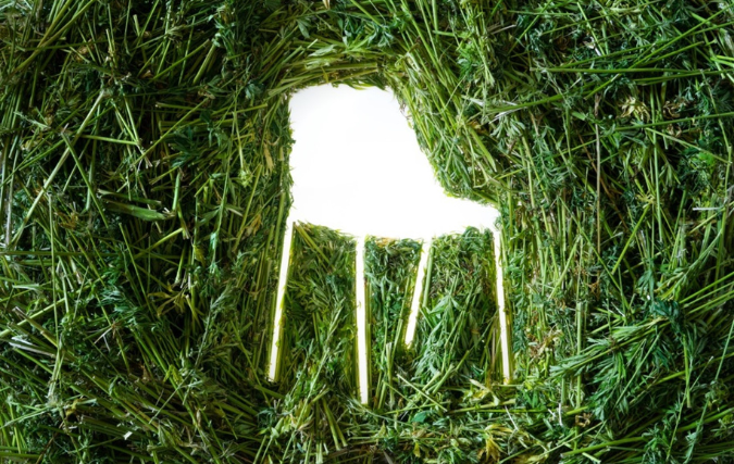 Duurzame Vepa stoelencollectie van hennep klaar voor seriematige productie