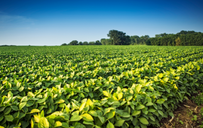 Royal Cosun heeft € 60 mln aan groene onderhandse  leningen geplaatst en voor € 145 mln aan groen Schuldschein-papier uitgegeven