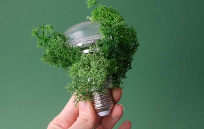 De generatie Z kiest groen – ben jij er klaar voor?