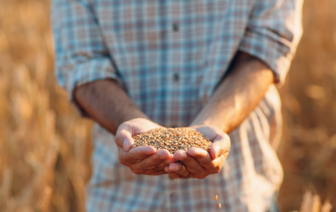 Grondstoffen reinigen en opslaan in een GMO-vrije omgeving: zo doe je het!