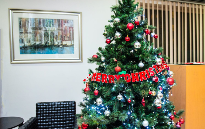 'Plastic boom is volledig kerstonwaardig'