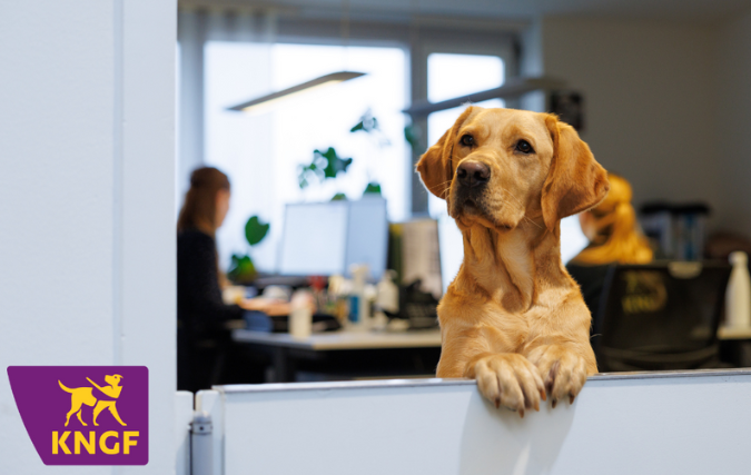 KNGF Geleidehonden kiest voor Facilitor