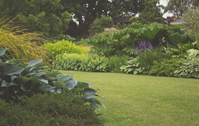 Het belang van ontspannen als drukke ondernemer in een fijne tuin